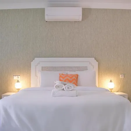 Elda Boutique 酒店 阿拉恰特